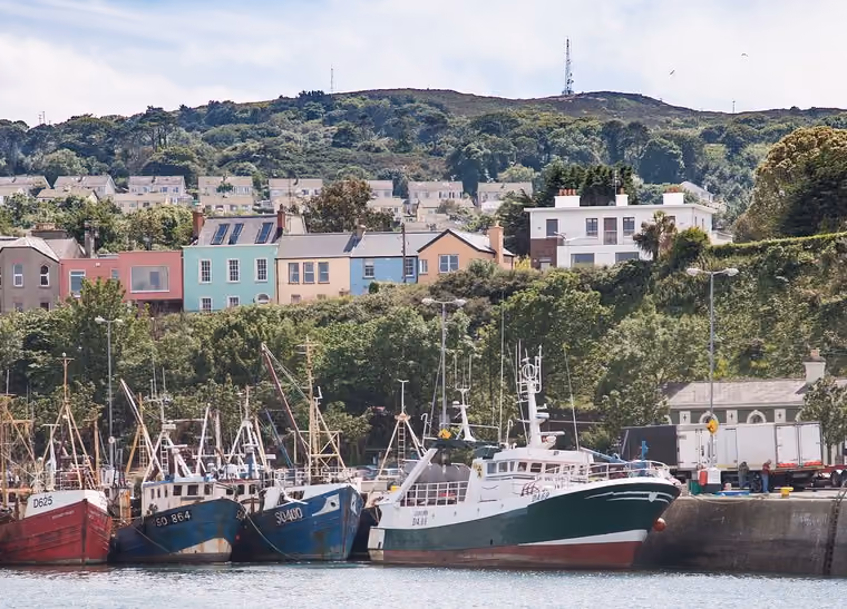Emergency electrician servicing residential homes in Howth, Dublin